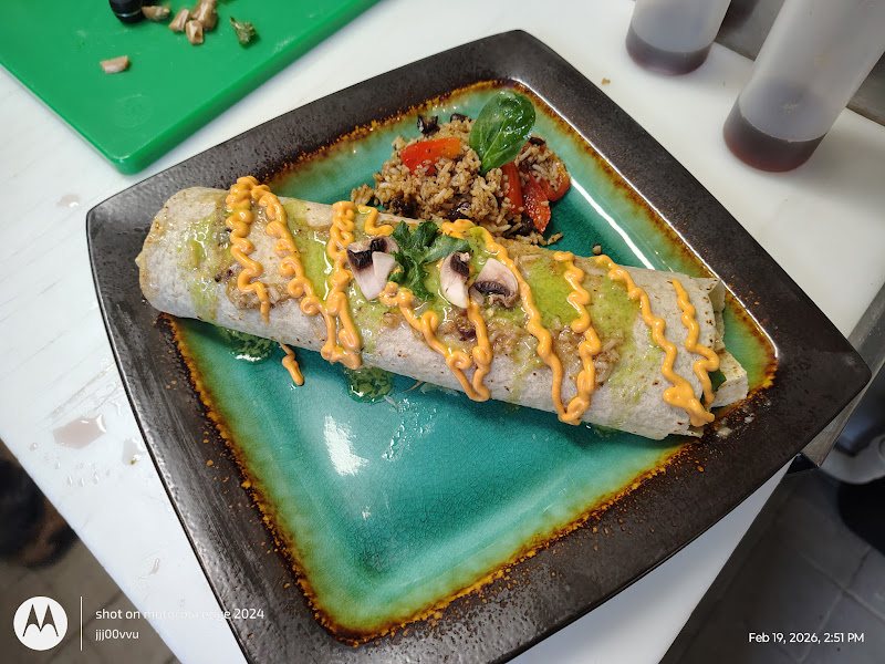 A colorful Wise Eatz wrap on a green plate